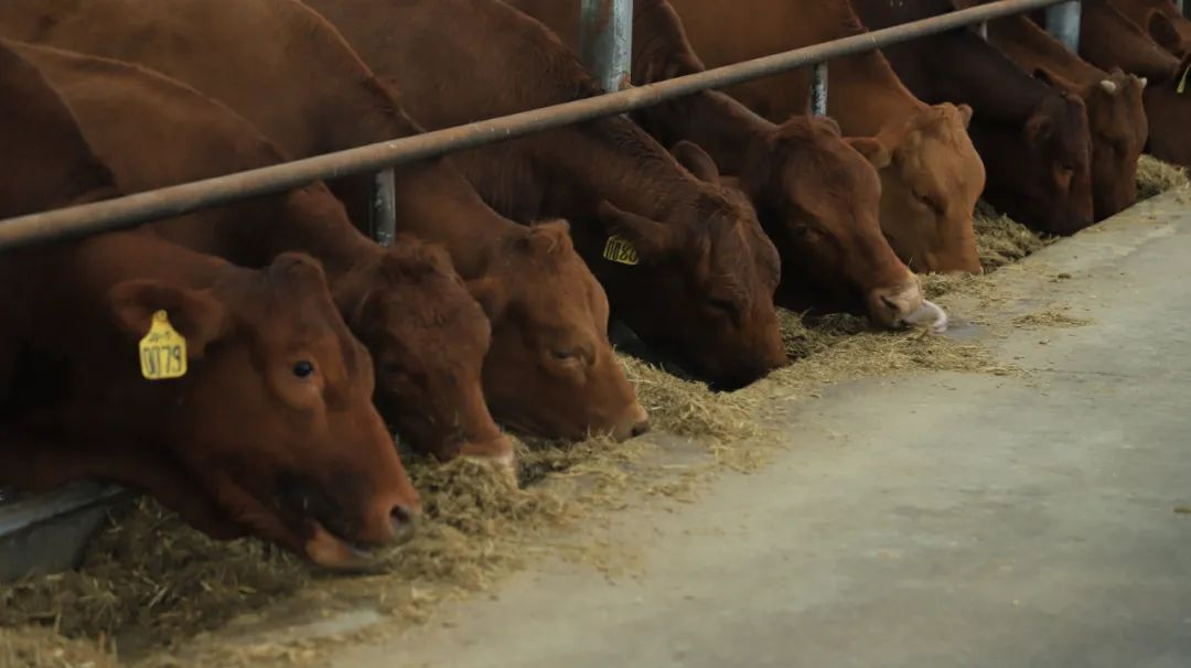 图片12.png 图片12.png